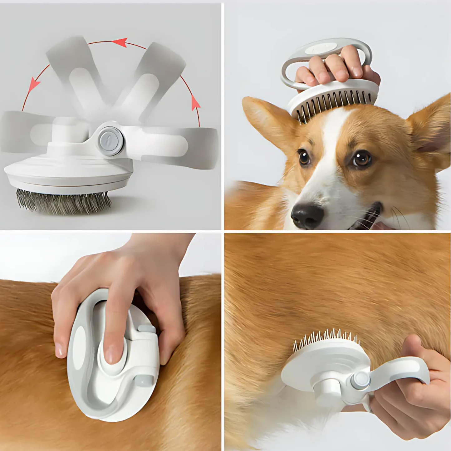Self-Cleaning Brush
