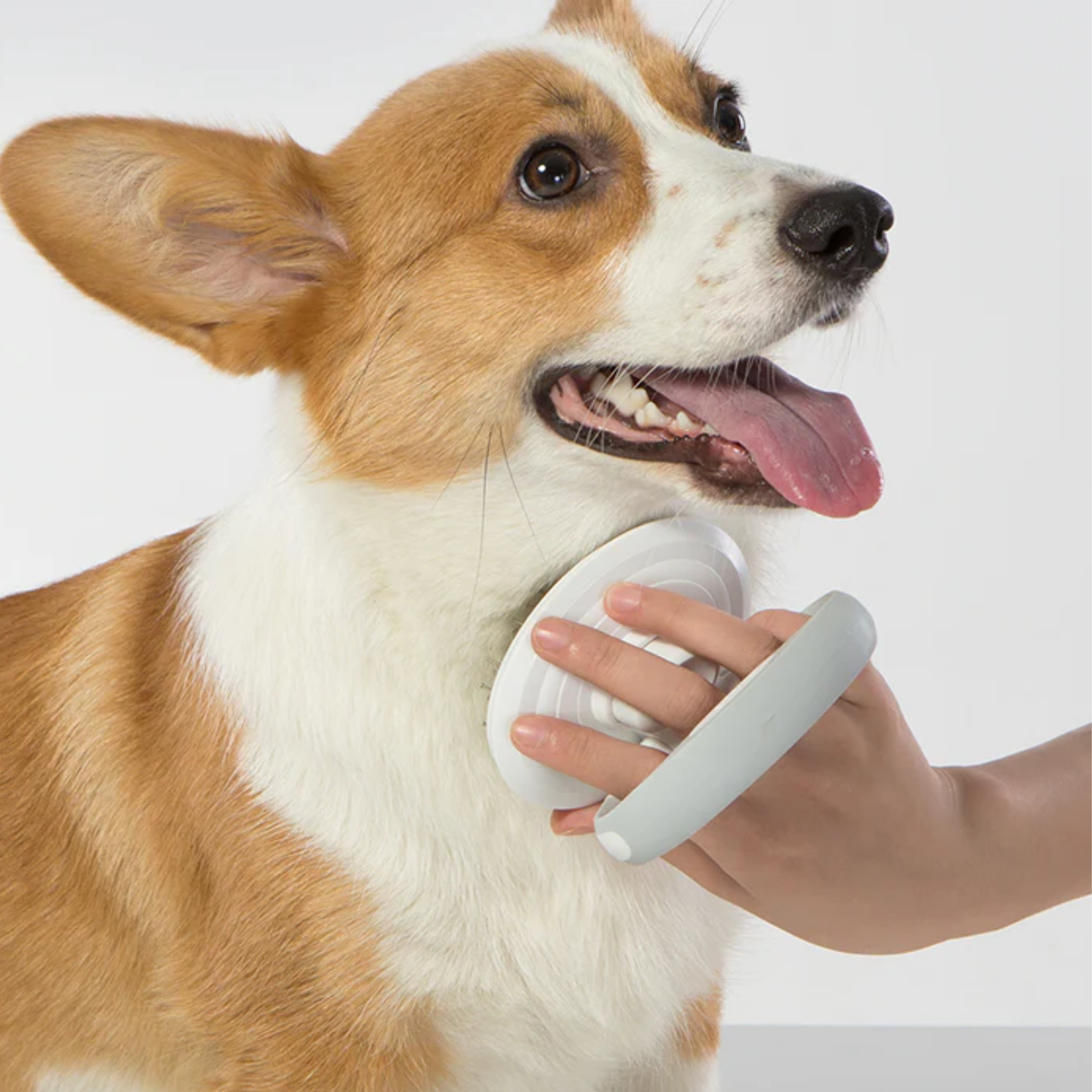 Self-Cleaning Brush