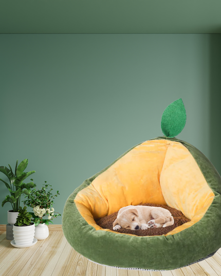 Pet bed shaped like a lemon with a leaf on a green wall background