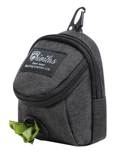 Gray backpack with a carabiner and lettuce attached on a white background