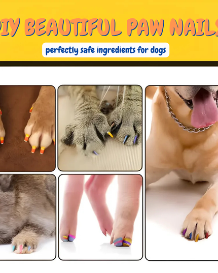 Collage of images showing pets with painted nails and text about DIY beautiful paw nails for dogs.