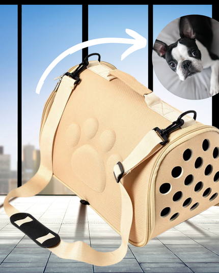 Pet carrier with a dog wearing a cone in an inset image, set against a cityscape background.