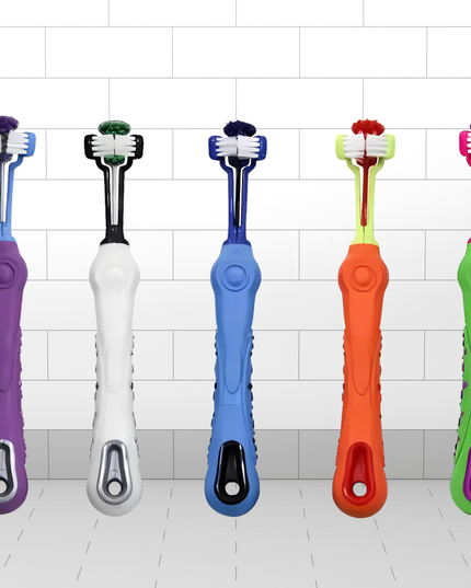Five colorful toothbrushes for dog with different handles and bristle designs on a tiled bathroom floor.