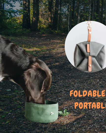 Dog drinking from a green foldable and portable dog bowl in a forest setting.