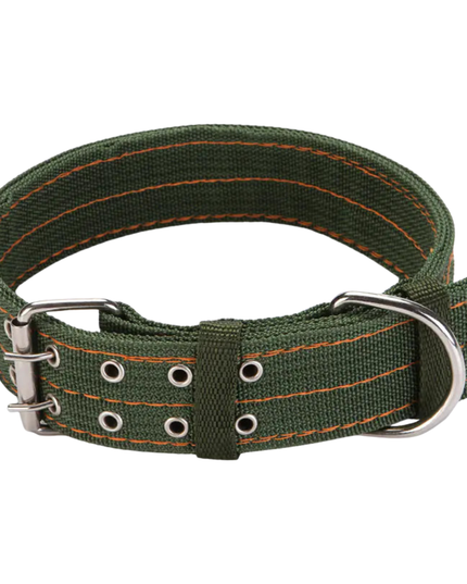 Green dog collar with metal hardware on a white background