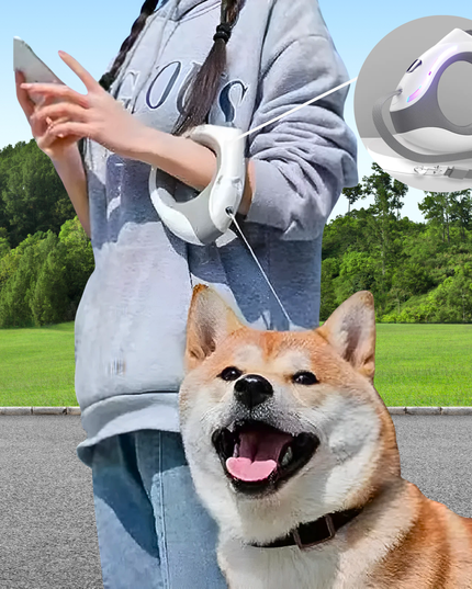 Person using a remote control device with a dog outdoors on a sunny day.