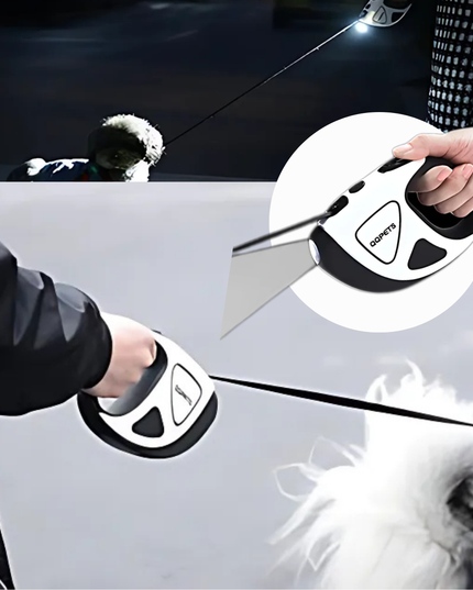 Person using a car window cleaning tool on a car window with a dog looking on.