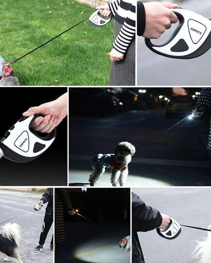 Collage of a person using a pet leash and car door opener, with a dog in various settings.