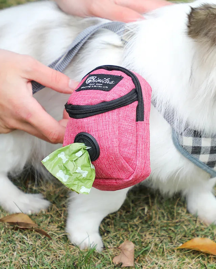 Small dog wearing a pink and black toy with a green interior, held by a person outdoors.