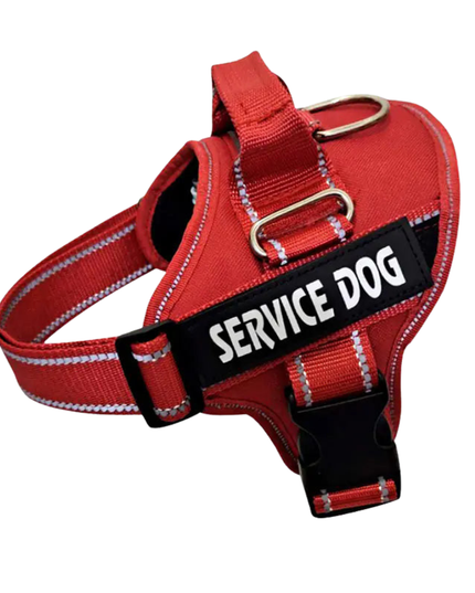 Red 'Service Dog' harness on a white background