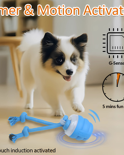 Dog playing with a blue toy, featuring text about timer and motion activation.