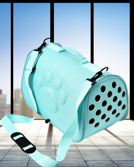 Light blue pet carrier with a strap against a cityscape background
