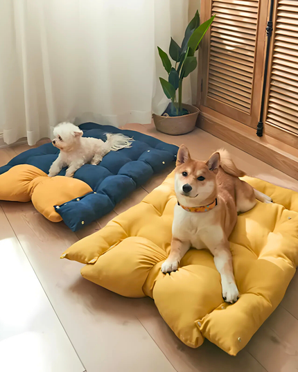 Two dogs on colorful pet beds in a room with wooden flooring and a plant.