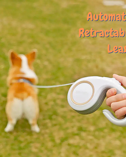 Person holding an automatic retractable leash with a dog on a grassy field