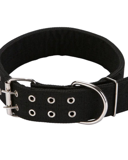 Black dog collar with silver hardware on a white background