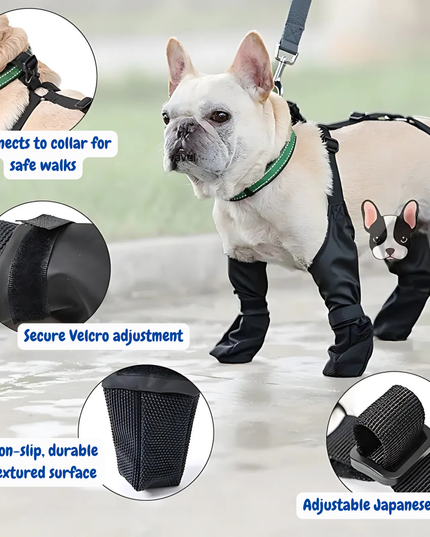 Dog wearing a harness and boots with features highlighted on a blurred background