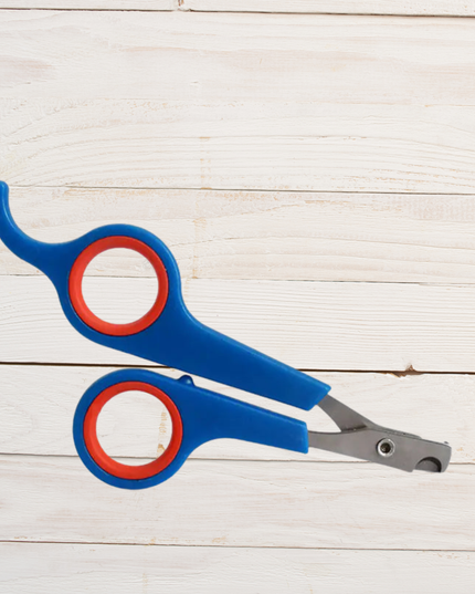 Blue and red pet nail clippers on a light wooden surface
