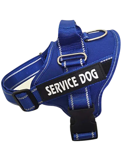 Blue dog harness with 'SERVICE DOG' label on a white background