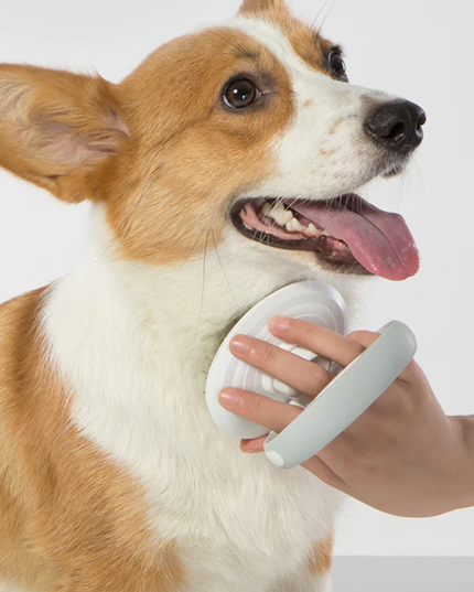 Dog wearing a white electronic device on its neck with a person's hand holding it.