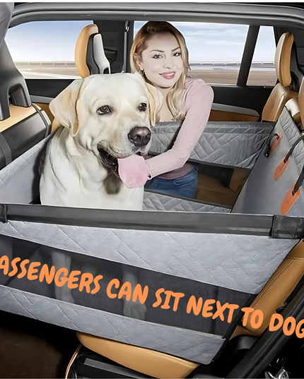 Car interior with a pet barrier and a dog inside, next to a person.