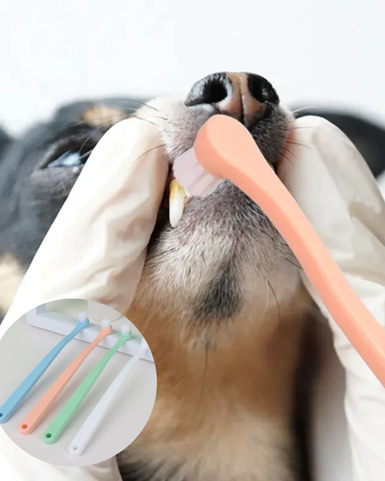 Person brushing a dog's teeth with a pink toothbrush, with close-up insets of other toothbrushes.
