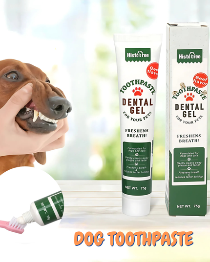 Dog toothpaste gel with packaging and a dog being held by a hand.