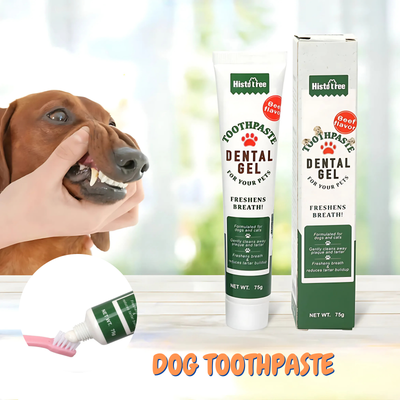 Dog toothpaste gel with packaging and a dog being held by a hand.