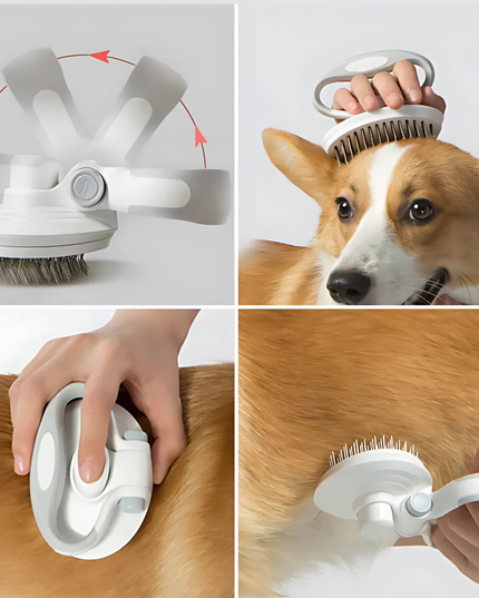 Pet grooming brush with close-up shots of use on a dog.