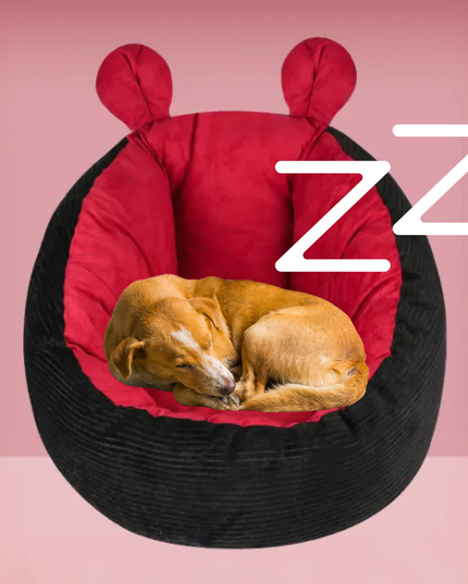 Dog sleeping on a red and black pet bed with 'ZZ' on a pink background