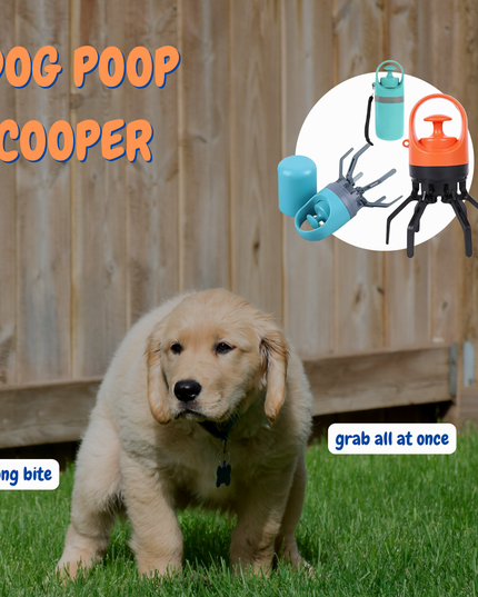 Dog standing on grass with dog poop scooper tools displayed above, including a close-up of the scooper.