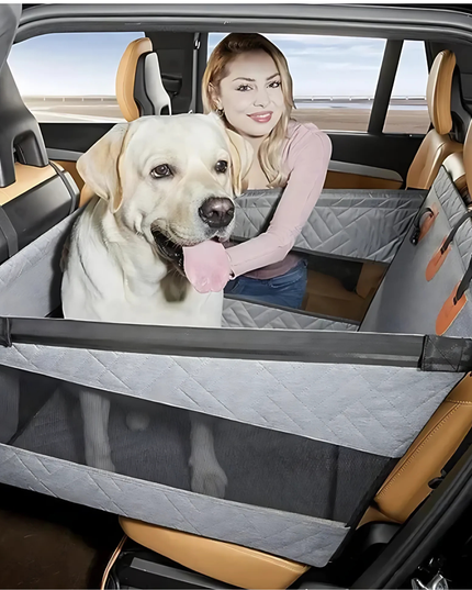 Dog in a car with a pet safety barrier and a person sitting next to it.