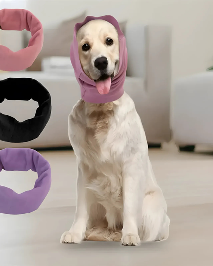 Dog wearing a purple hood with four color options displayed in front of it.