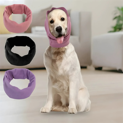 Dog wearing a purple hood with four color options displayed in front of it.