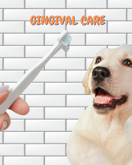 Dog with a toothbrush and 'Gingival Care' text on a tiled background