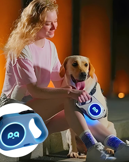 Woman sitting with a dog wearing a glowing blue collar, with a close-up of the collar inset.