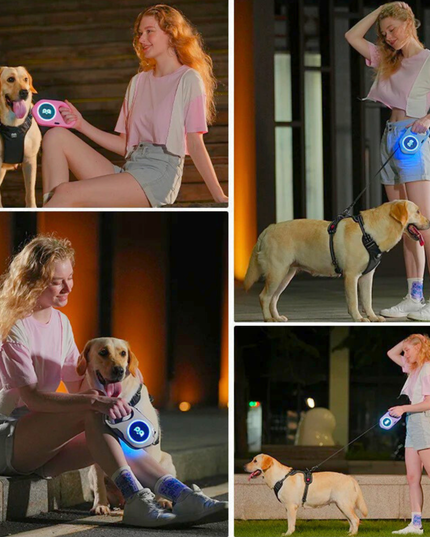 Collage of a woman walking a dog wearing a LED harness at night.