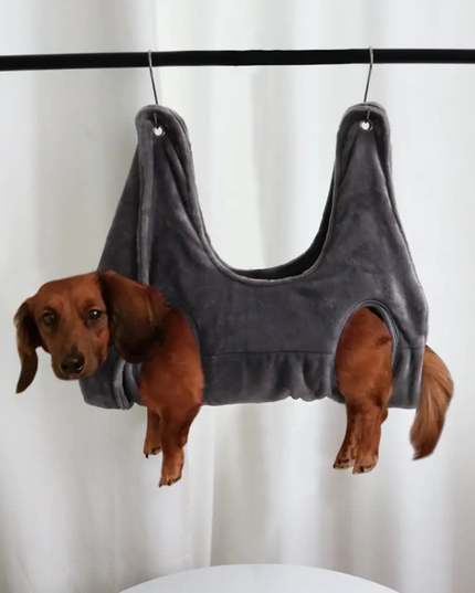 Small dog wearing a gray tank top hanging on a black rod against a white curtain background