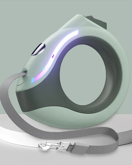 Pet leash and collar set on a light gray background