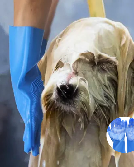 Dog being bathed with a blue grooming glove, with a close-up inset of the glove.