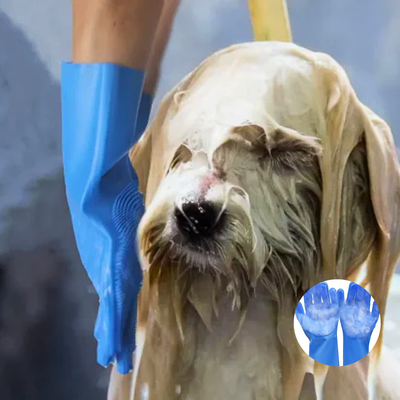 Dog being bathed with a blue grooming glove, with a close-up inset of the glove.