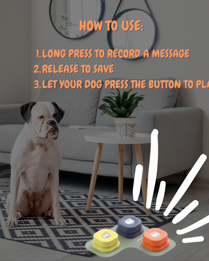 Dog sitting on a rug with colorful buttons in front of it, instructions on how to use them displayed.