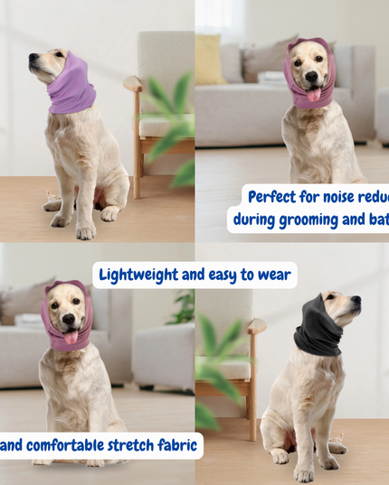 Collage of dogs wearing various types of pet hoodies in a home setting.