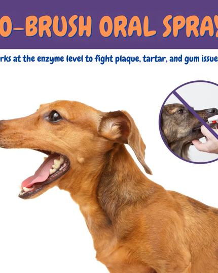 Dog with 'No-Brush Oral Spray' text and a close-up of a dog being brushed.