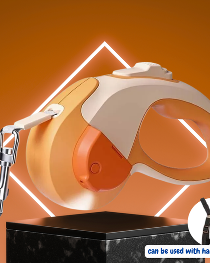 Dog leash with a clip on an orange background