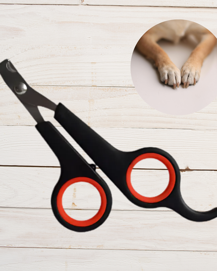Pet nail clippers with red accents on a wooden surface, inset showing a dog's paw.