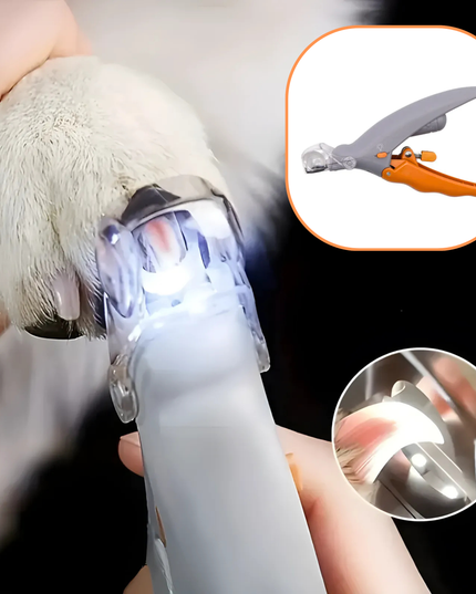 Pet nail trimmer with LED light being used on a dog's paw, with close-up inset showing tool details.