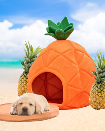 Pineapple-shaped pet house with a puppy on a beach