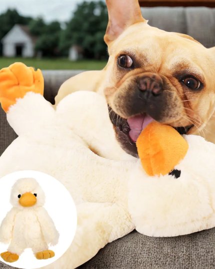 Dog playing with a plush duck toy on a couch