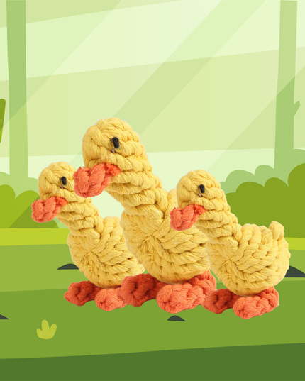 Three knitted ducks in a forest setting