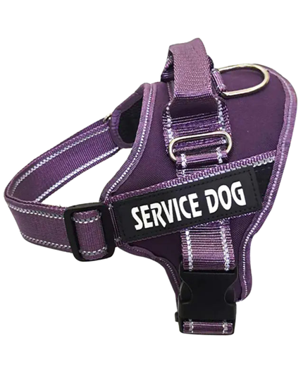 Purple service dog harness with a patch on a white background